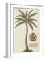 Coconut Palm-Porter Design-Framed Giclee Print