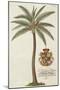 Coconut Palm-Porter Design-Mounted Giclee Print