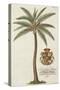 Coconut Palm-Porter Design-Stretched Canvas