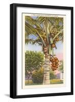 Coconut Palm-null-Framed Art Print