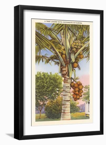 Coconut Palm-null-Framed Art Print