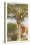 Coconut Palm-null-Stretched Canvas