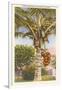 Coconut Palm-null-Framed Art Print