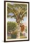 Coconut Palm-null-Framed Art Print