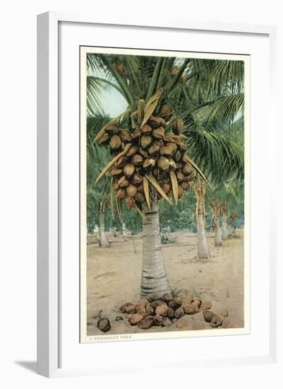 Coconut Palm-null-Framed Art Print