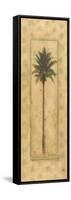 Coconut Palm-unknown Chiu-Framed Stretched Canvas