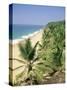 Coconut Palms and Beach, Kovalam, Kerala State, India, Asia-Gavin Hellier-Stretched Canvas