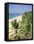 Coconut Palms and Beach, Kovalam, Kerala State, India, Asia-Gavin Hellier-Framed Stretched Canvas