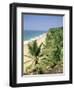 Coconut Palms and Beach, Kovalam, Kerala State, India, Asia-Gavin Hellier-Framed Photographic Print