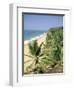 Coconut Palms and Beach, Kovalam, Kerala State, India, Asia-Gavin Hellier-Framed Photographic Print