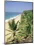 Coconut Palms and Beach, Kovalam, Kerala State, India, Asia-Gavin Hellier-Mounted Photographic Print