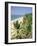 Coconut Palms and Beach, Kovalam, Kerala State, India, Asia-Gavin Hellier-Framed Photographic Print