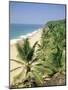 Coconut Palms and Beach, Kovalam, Kerala State, India, Asia-Gavin Hellier-Mounted Photographic Print