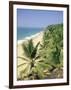 Coconut Palms and Beach, Kovalam, Kerala State, India, Asia-Gavin Hellier-Framed Photographic Print