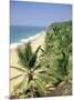 Coconut Palms and Beach, Kovalam, Kerala State, India, Asia-Gavin Hellier-Mounted Photographic Print