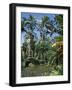 Coconut Palms and Fan Palms, Tropical Botanical Gardens, Hilo, Hawaiian Islands-Tony Waltham-Framed Photographic Print