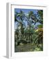 Coconut Palms and Fan Palms, Tropical Botanical Gardens, Hilo, Hawaiian Islands-Tony Waltham-Framed Photographic Print