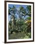 Coconut Palms and Fan Palms, Tropical Botanical Gardens, Hilo, Hawaiian Islands-Tony Waltham-Framed Photographic Print