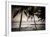 Coconut Palms and Surf at Dusk, Kailua-Kona, Hawaii, Usa-Russ Bishop-Framed Photographic Print