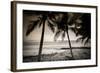 Coconut Palms and Surf at Dusk, Kailua-Kona, Hawaii, Usa-Russ Bishop-Framed Photographic Print