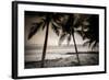 Coconut Palms and Surf at Dusk, Kailua-Kona, Hawaii, Usa-Russ Bishop-Framed Photographic Print