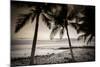 Coconut Palms and Surf at Dusk, Kailua-Kona, Hawaii, Usa-Russ Bishop-Mounted Photographic Print