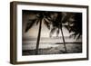 Coconut Palms and Surf at Dusk, Kailua-Kona, Hawaii, Usa-Russ Bishop-Framed Photographic Print