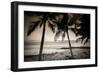 Coconut Palms and Surf at Dusk, Kailua-Kona, Hawaii, Usa-Russ Bishop-Framed Photographic Print