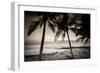 Coconut Palms and Surf at Dusk, Kailua-Kona, Hawaii, Usa-Russ Bishop-Framed Photographic Print