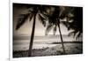 Coconut Palms and Surf at Dusk, Kailua-Kona, Hawaii, Usa-Russ Bishop-Framed Photographic Print