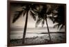 Coconut Palms and Surf at Dusk, Kailua-Kona, Hawaii, Usa-Russ Bishop-Framed Photographic Print