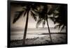 Coconut Palms and Surf at Dusk, Kailua-Kona, Hawaii, Usa-Russ Bishop-Framed Photographic Print