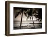 Coconut Palms and Surf at Dusk, Kailua-Kona, Hawaii, Usa-Russ Bishop-Framed Photographic Print