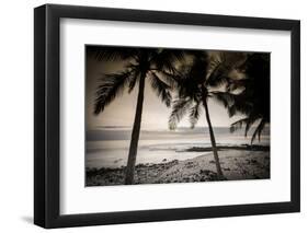 Coconut Palms and Surf at Dusk, Kailua-Kona, Hawaii, Usa-Russ Bishop-Framed Photographic Print