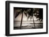 Coconut Palms and Surf at Dusk, Kailua-Kona, Hawaii, Usa-Russ Bishop-Framed Photographic Print