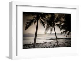 Coconut Palms and Surf at Dusk, Kailua-Kona, Hawaii, Usa-Russ Bishop-Framed Photographic Print