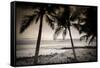 Coconut Palms and Surf at Dusk, Kailua-Kona, Hawaii, Usa-Russ Bishop-Framed Stretched Canvas