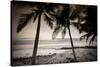 Coconut Palms and Surf at Dusk, Kailua-Kona, Hawaii, Usa-Russ Bishop-Stretched Canvas