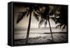 Coconut Palms and Surf at Dusk, Kailua-Kona, Hawaii, Usa-Russ Bishop-Framed Stretched Canvas