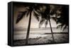 Coconut Palms and Surf at Dusk, Kailua-Kona, Hawaii, Usa-Russ Bishop-Framed Stretched Canvas