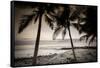 Coconut Palms and Surf at Dusk, Kailua-Kona, Hawaii, Usa-Russ Bishop-Framed Stretched Canvas