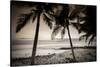 Coconut Palms and Surf at Dusk, Kailua-Kona, Hawaii, Usa-Russ Bishop-Stretched Canvas