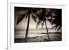 Coconut Palms and Surf at Dusk, Kailua-Kona, Hawaii, Usa-Russ Bishop-Framed Photographic Print