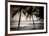 Coconut Palms and Surf at Dusk, Kailua-Kona, Hawaii, Usa-Russ Bishop-Framed Photographic Print