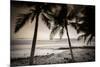 Coconut Palms and Surf at Dusk, Kailua-Kona, Hawaii, Usa-Russ Bishop-Mounted Photographic Print