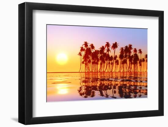 Coconut Palms at Sunset-lekcej-Framed Premium Photographic Print