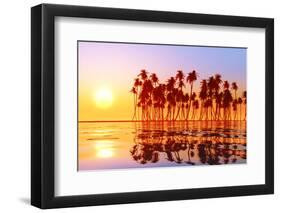 Coconut Palms at Sunset-lekcej-Framed Premium Photographic Print