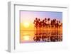 Coconut Palms at Sunset-lekcej-Framed Premium Photographic Print