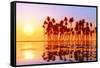 Coconut Palms at Sunset-lekcej-Framed Stretched Canvas