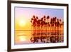 Coconut Palms at Sunset-lekcej-Framed Photographic Print
